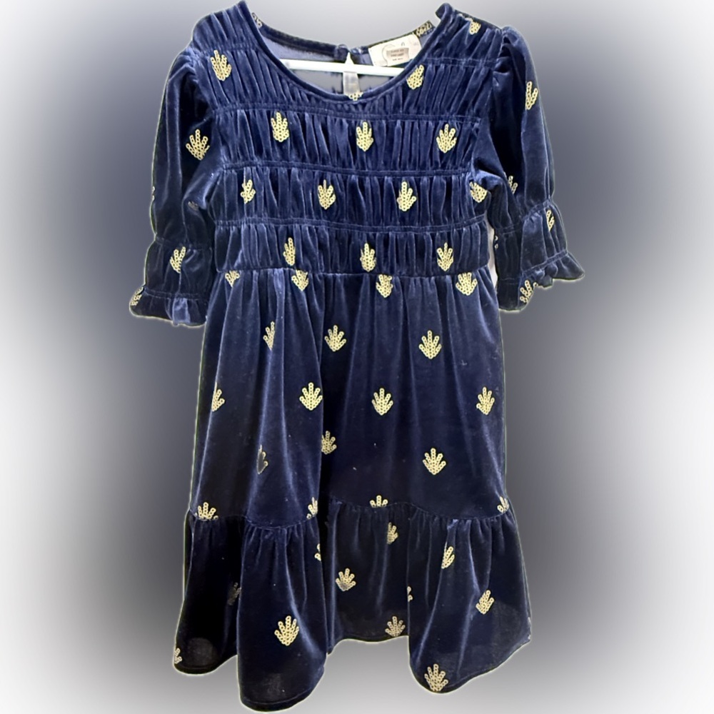 Peek Navy Velvet Dress‎ with Gold Embroidery